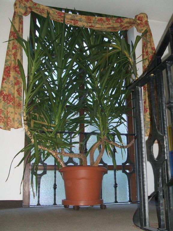 Residence Wiesenhof كامبو توريس المظهر الخارجي الصورة
